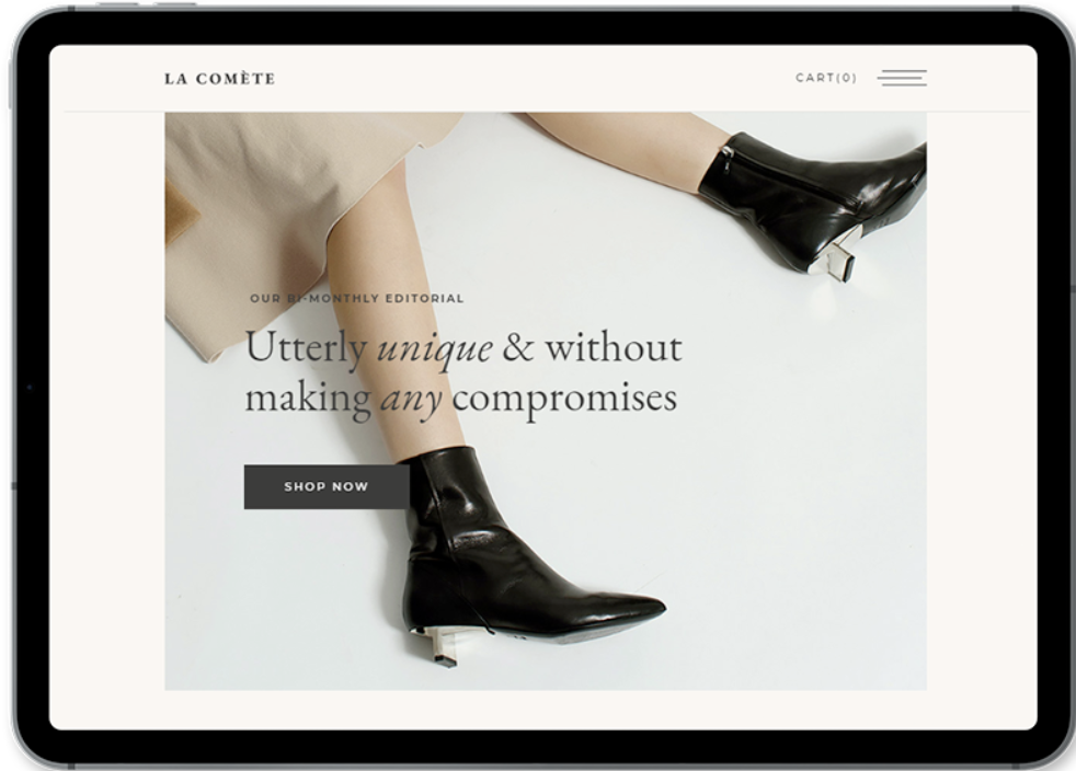 best clothing store e-commerce themes